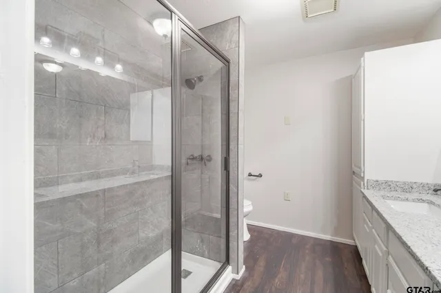 a bathroom with a granite countertop shower a sink and vanity