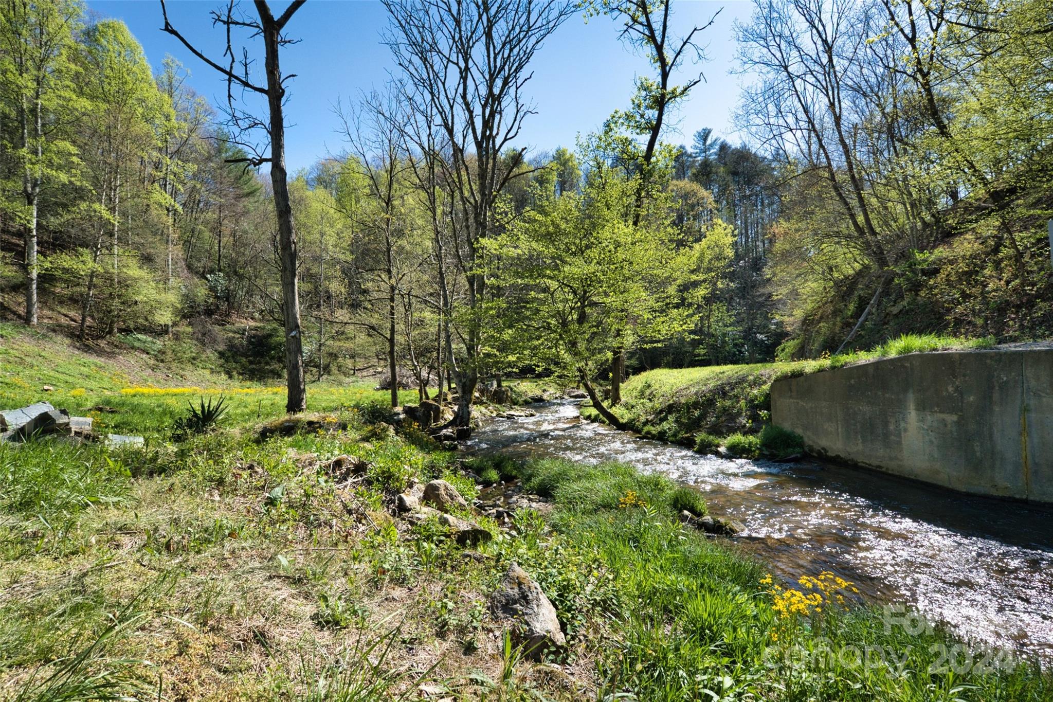 2180 Pigeon Roost Road Green Mountain, NC 28740 - Photo 23 of 47 a view of a backyard of the house