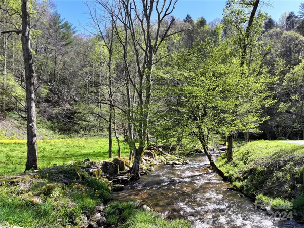 a view of a trees with a yard