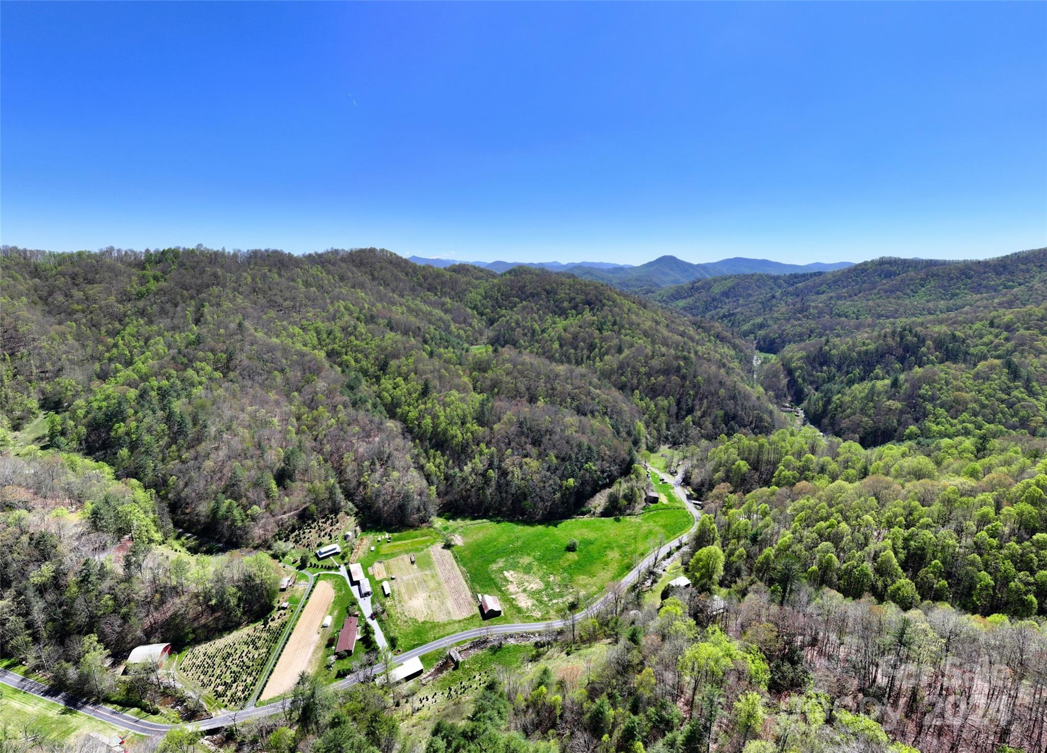 2180 Pigeon Roost Road Green Mountain, NC 28740 - Photo 25 of 47 a view of a yard with a tree