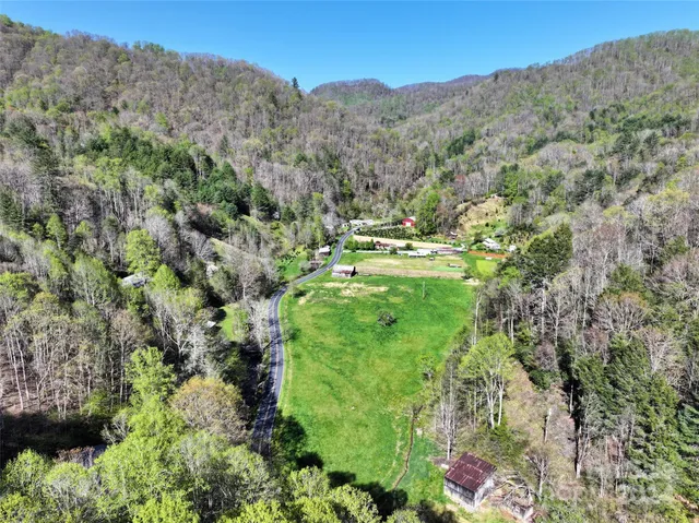 a view of a lush green forest with trees in the background