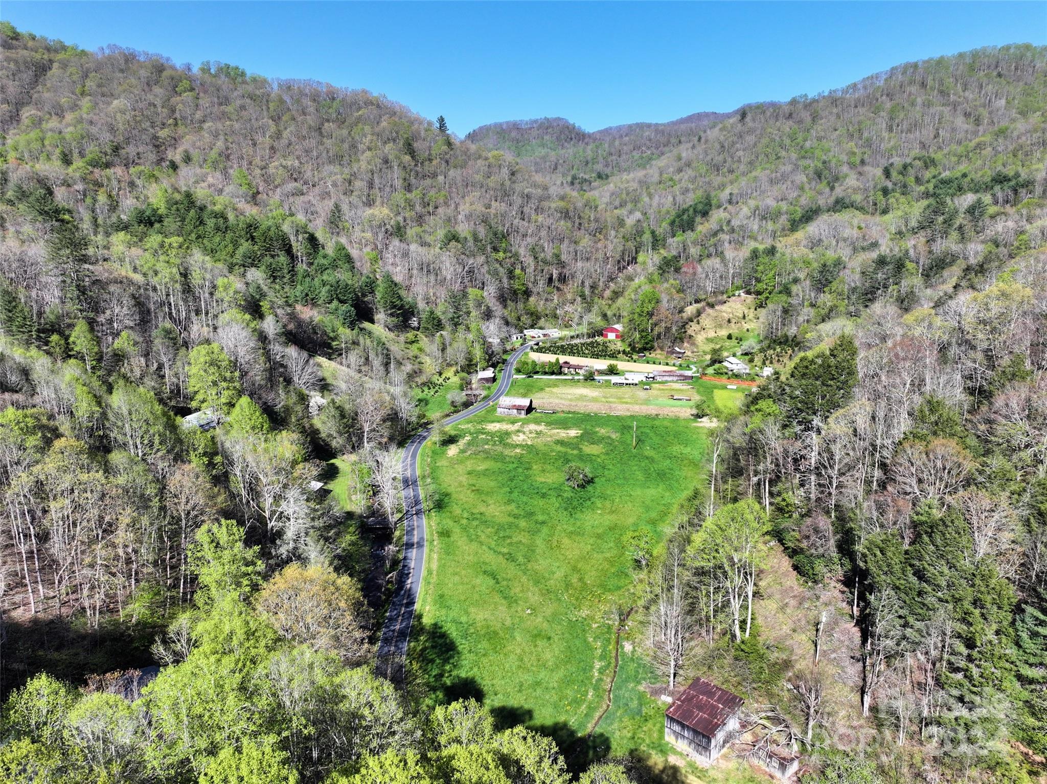 2180 Pigeon Roost Road Green Mountain, NC 28740 - Photo 26 of 47 a view of a lush green forest with trees in the background