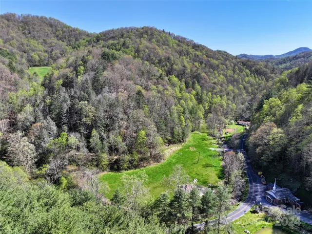 a view of a lush green forest with mountains in the background