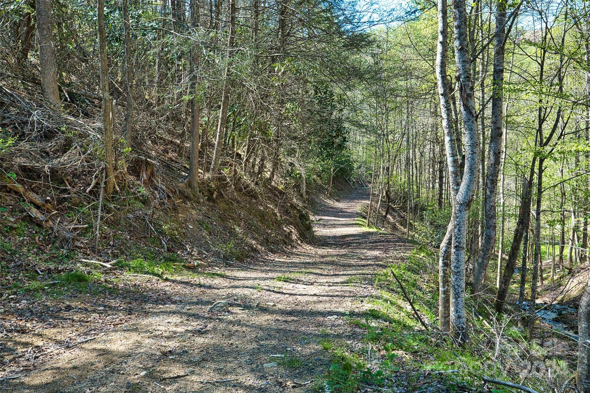 2180 Pigeon Roost Road Green Mountain, NC 28740 - Photo 29 of 47 a view of outdoor space and yard