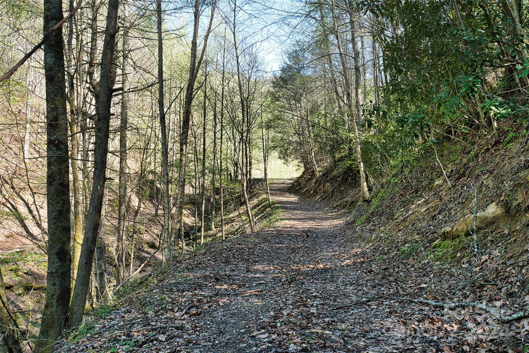 2180 Pigeon Roost Road Green Mountain, NC 28740 - Photo 30 of 47 a view of a yard with large trees