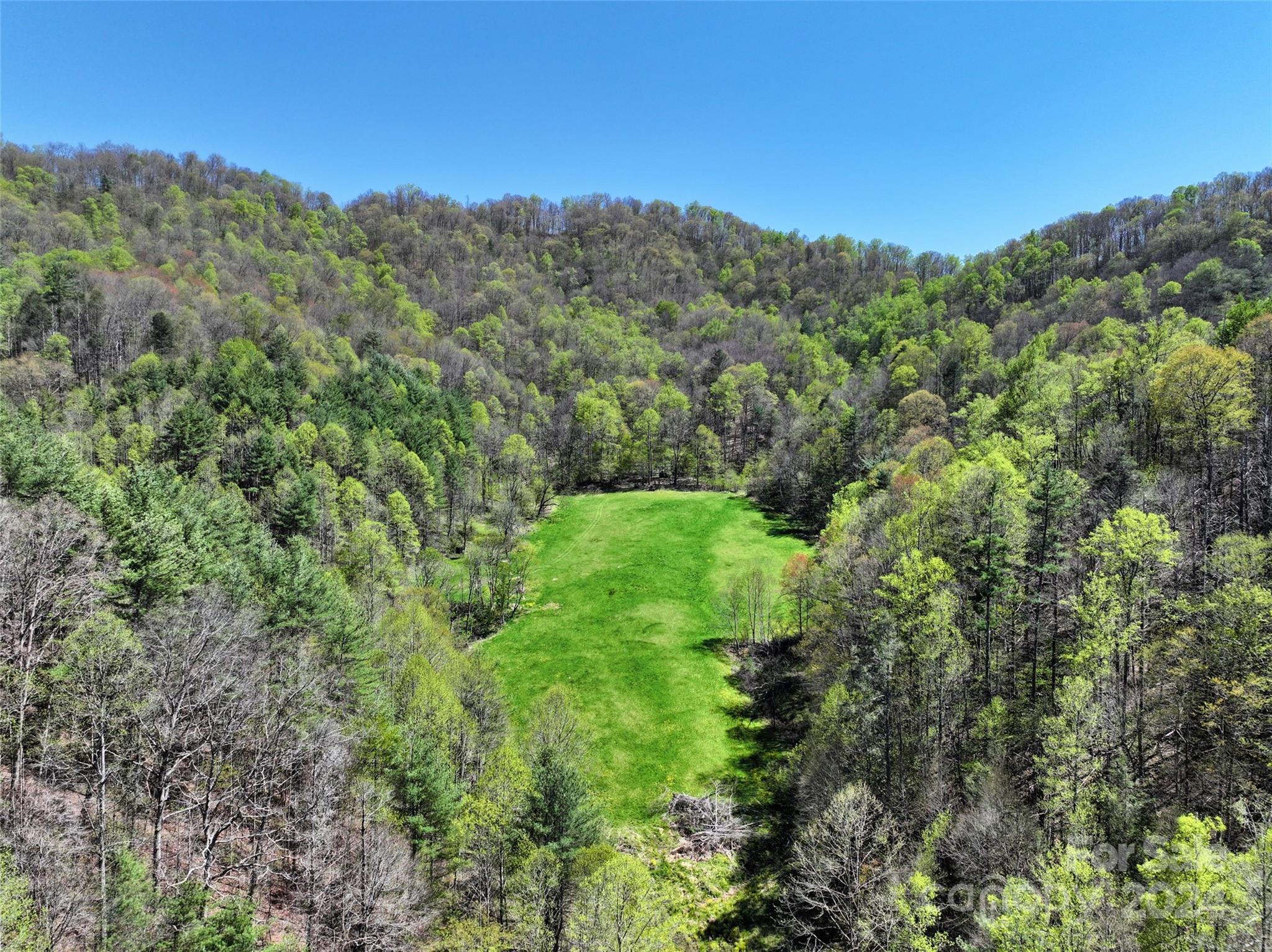 2180 Pigeon Roost Road Green Mountain, NC 28740 - Photo 3 of 47 a view of a lush green forest with trees in the background
