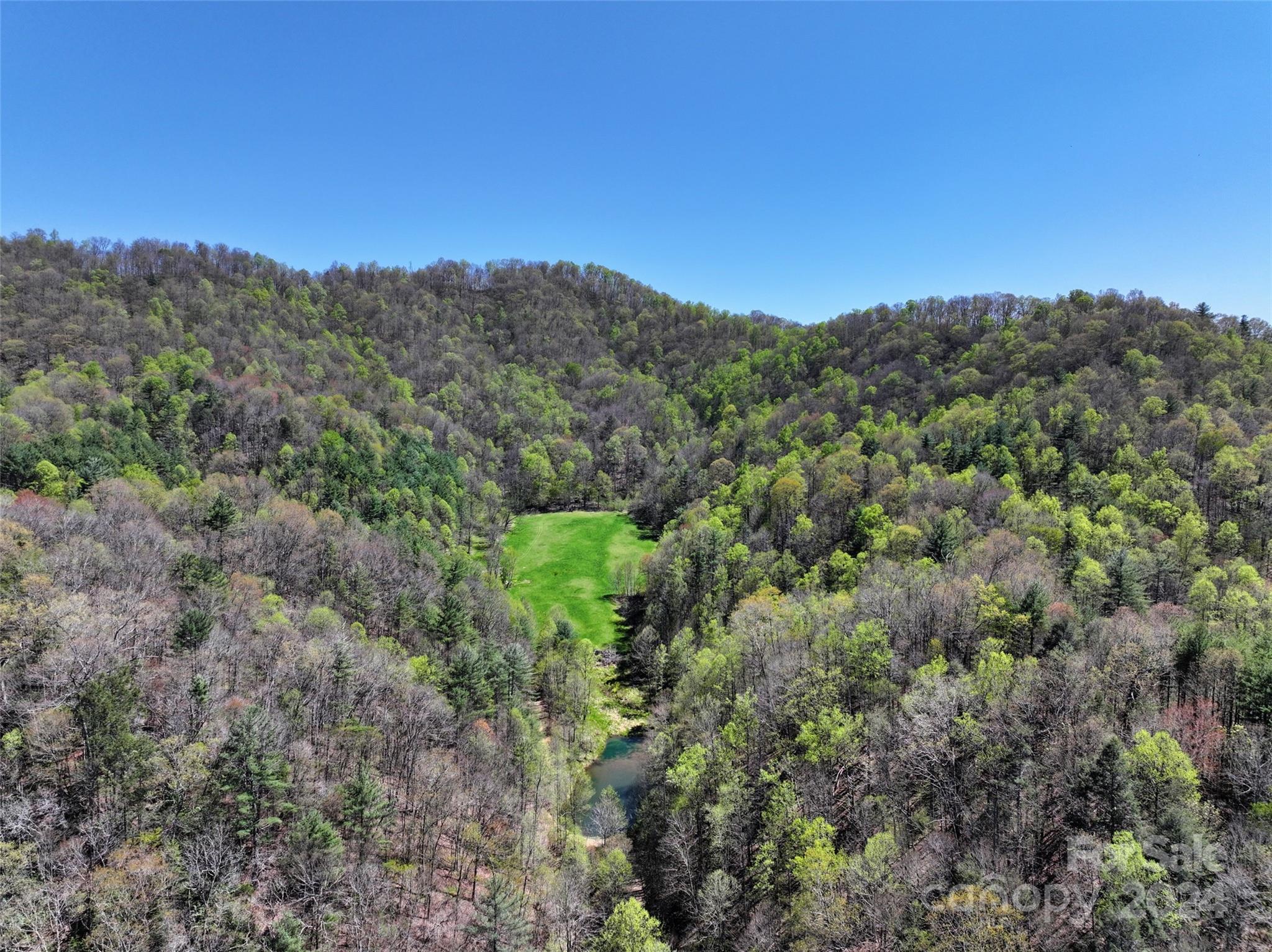 2180 Pigeon Roost Road Green Mountain, NC 28740 - Photo 34 of 47 a view of a green field