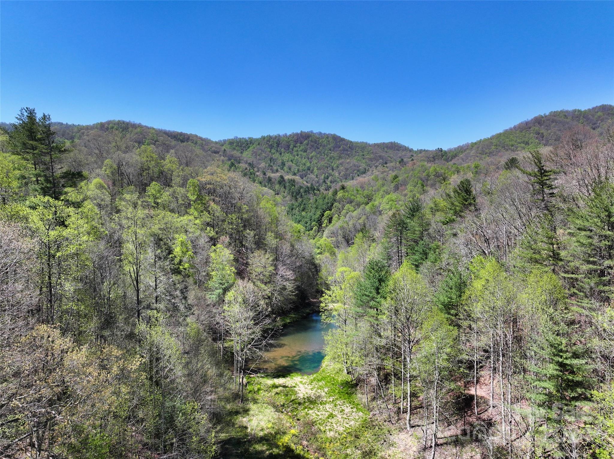 2180 Pigeon Roost Road Green Mountain, NC 28740 - Photo 35 of 47 a view of a mountain