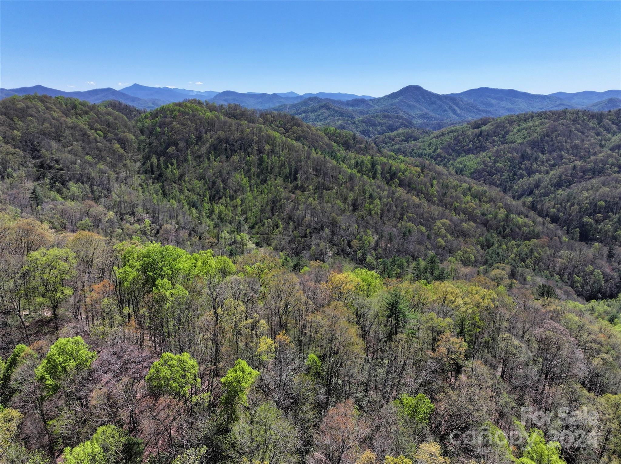 2180 Pigeon Roost Road Green Mountain, NC 28740 - Photo 37 of 47 a view of a lush green forest with mountains in the background