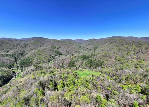 a view of a mountain range with lush green forest