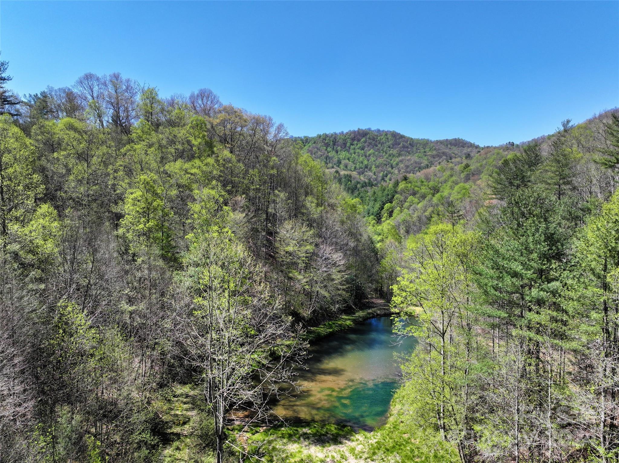 2180 Pigeon Roost Road Green Mountain, NC 28740 - Photo 4 of 47 a view of a forest with mountains in the background
