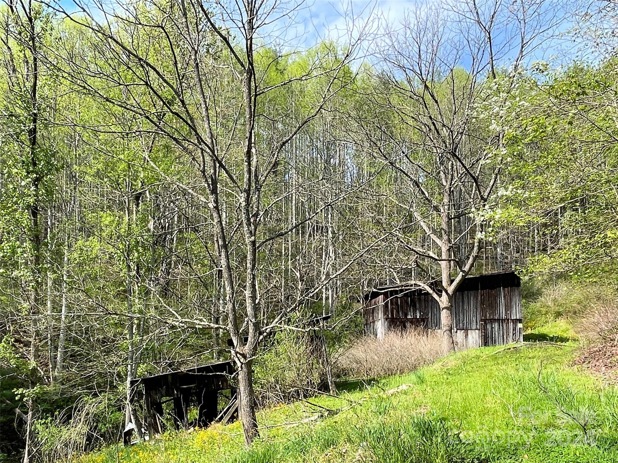2180 Pigeon Roost Road Green Mountain, NC 28740 - Photo 46 of 47 a backyard of a house with lots of green space