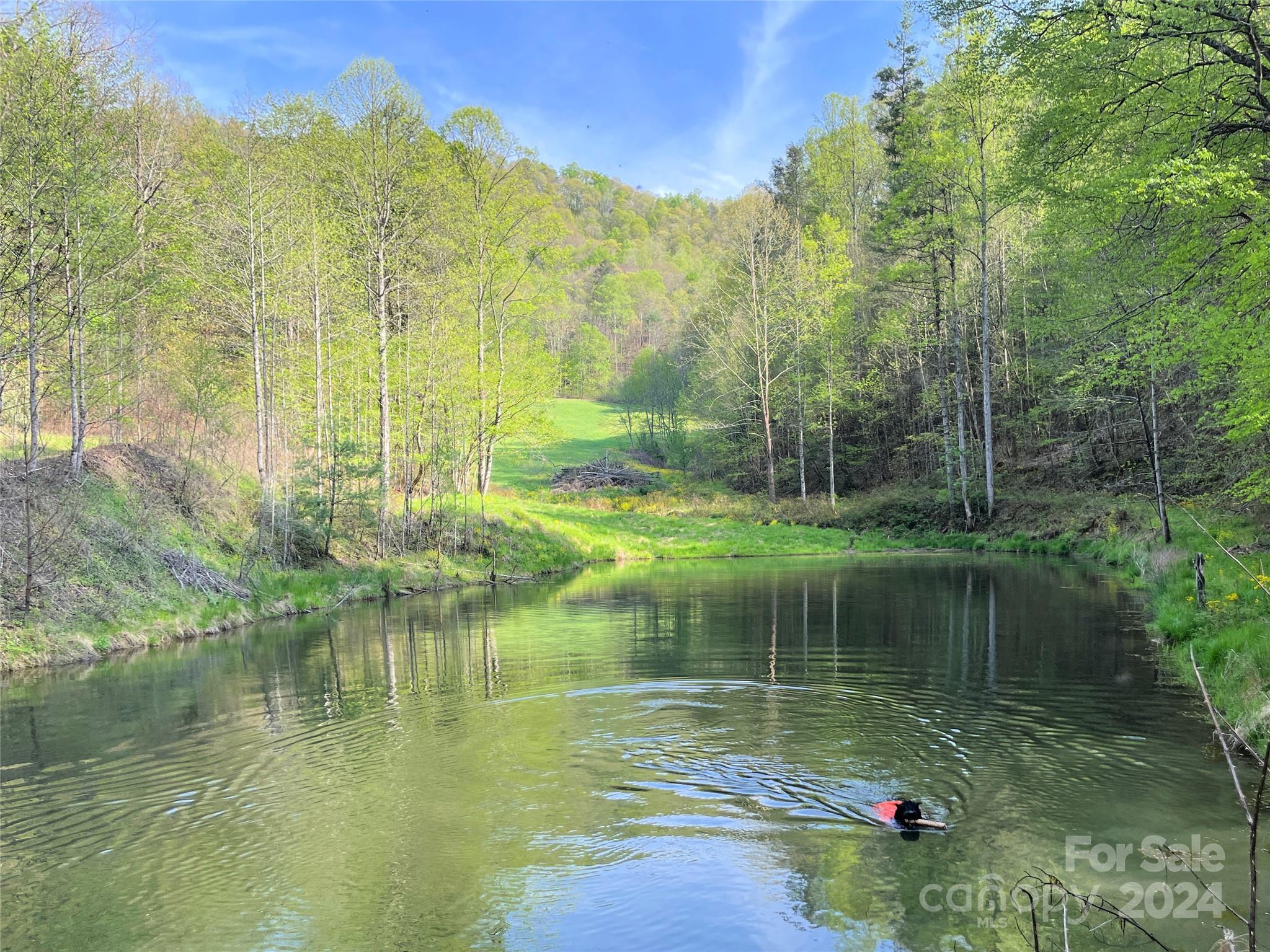 2180 Pigeon Roost Road Green Mountain, NC 28740 - Photo 47 of 47
