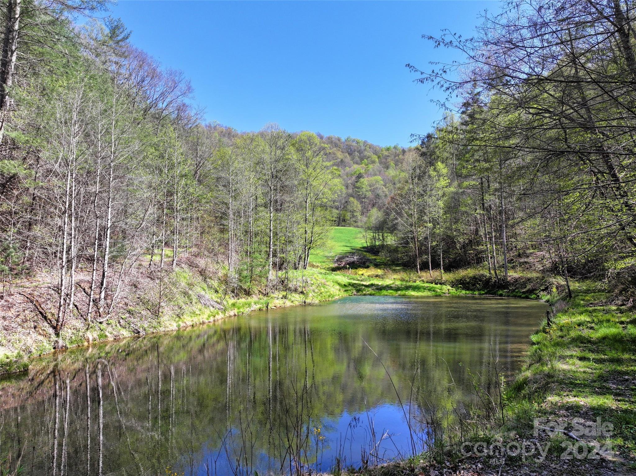 2180 Pigeon Roost Road Green Mountain, NC 28740 - Photo 5 of 47 a view of lake