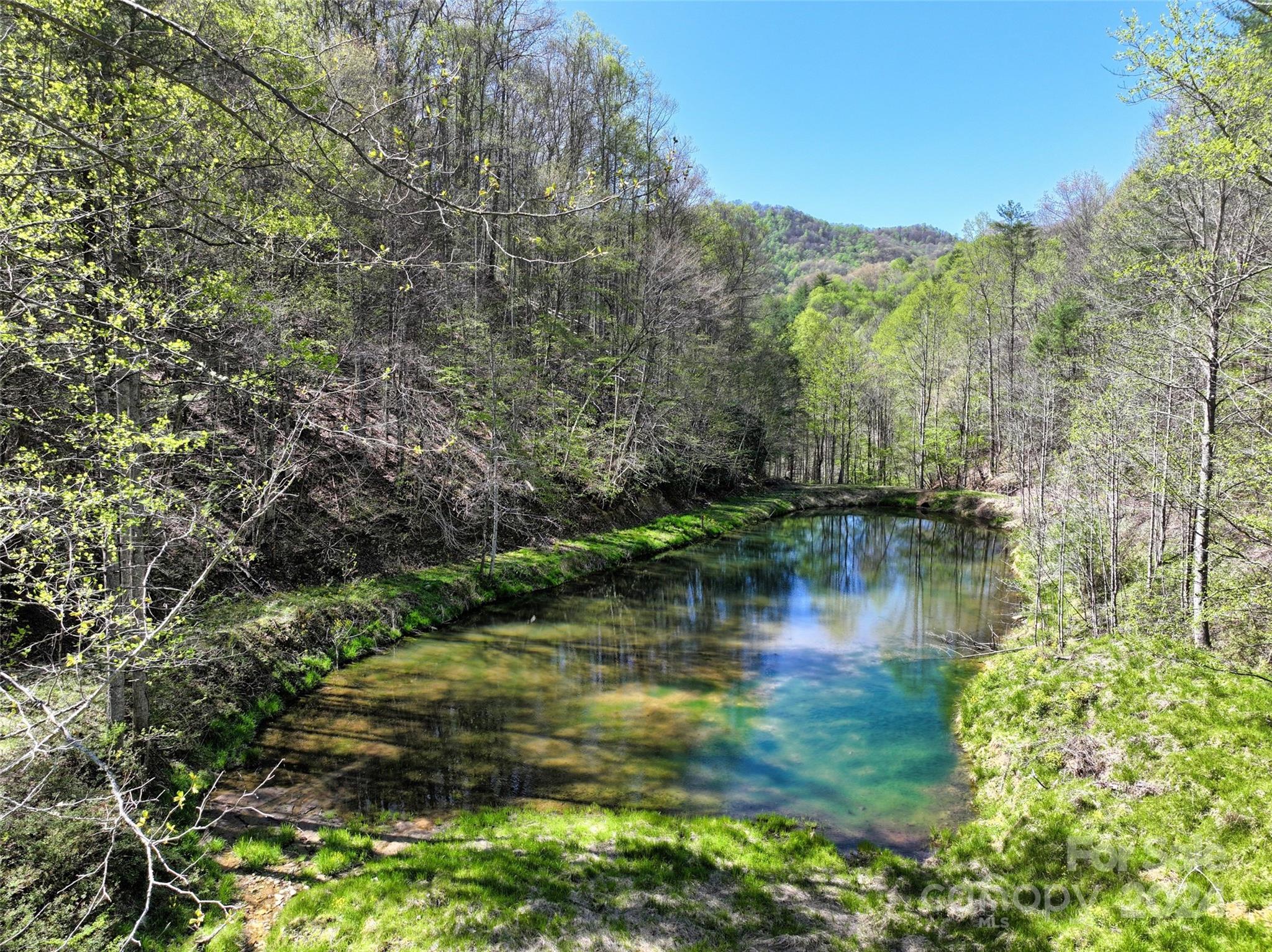 2180 Pigeon Roost Road Green Mountain, NC 28740 - Photo 6 of 47 a view of lake with green space