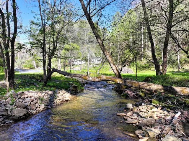 a view of backyard with green space