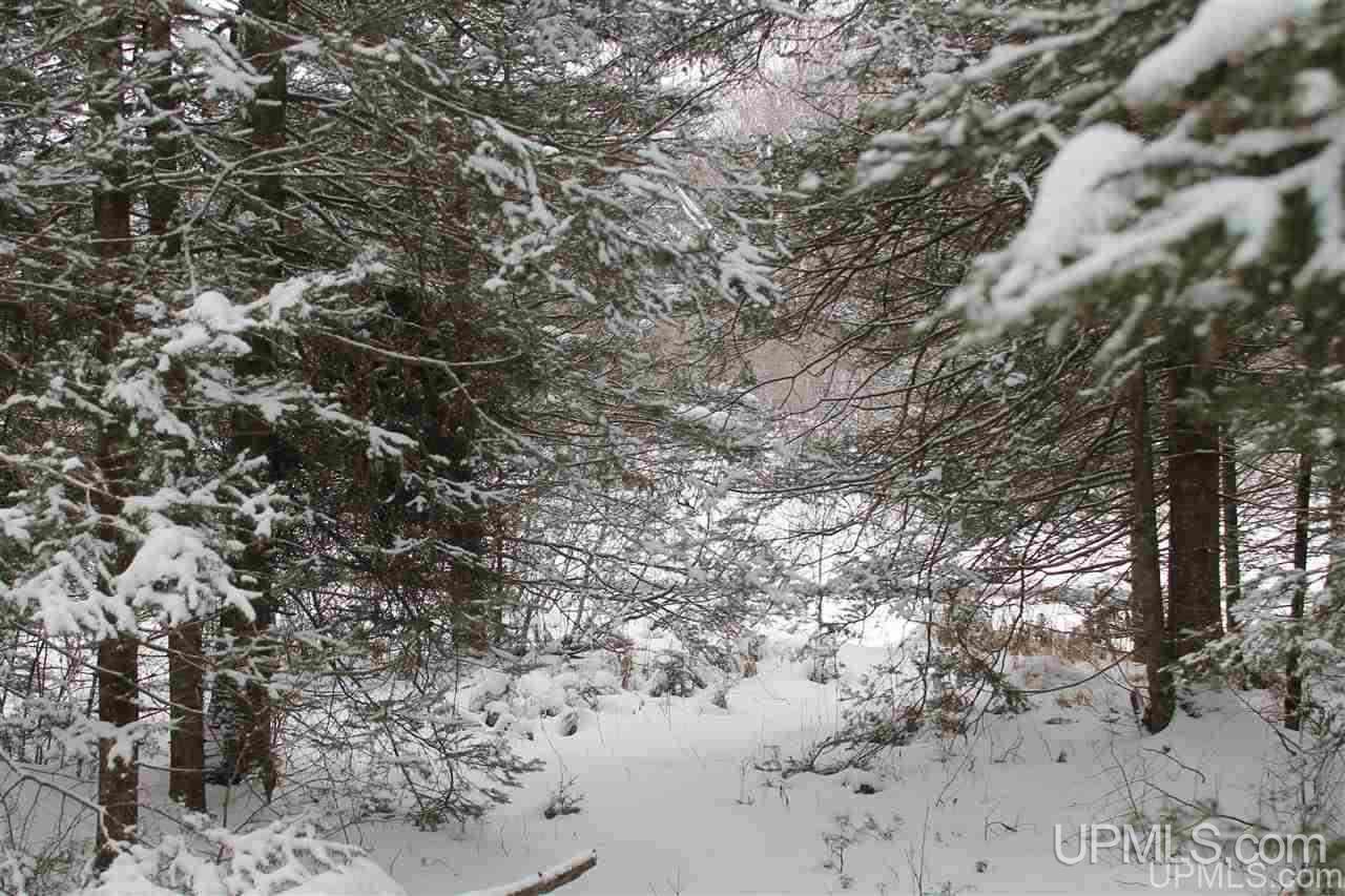Tbd Off Fr 5252 - (the Interior Road Watersmeet, MI 49969 - Photo 17 of 27 Gallery Image 17