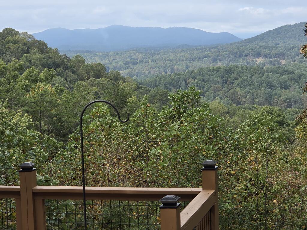 238 Ridge View Lane Hayesville, NC 28904 - Photo 5 of 71 Gallery Image 5