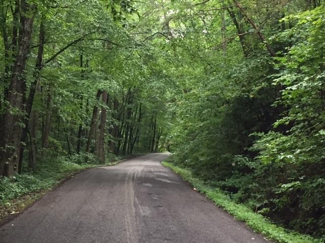 12.70 Sequatchie Mountain Road Sequatchie, TN 37374 - Photo 1 of 5 20160825163228574486000000-o