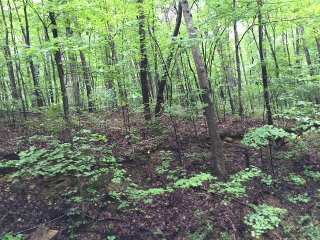 12.70 Sequatchie Mountain Road Sequatchie, TN 37374 - Photo 3 of 5 20160825163232831858000000-o