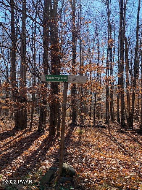 Timbertop Acres Newfoundland, PA 18445 - Photo 23 of 23