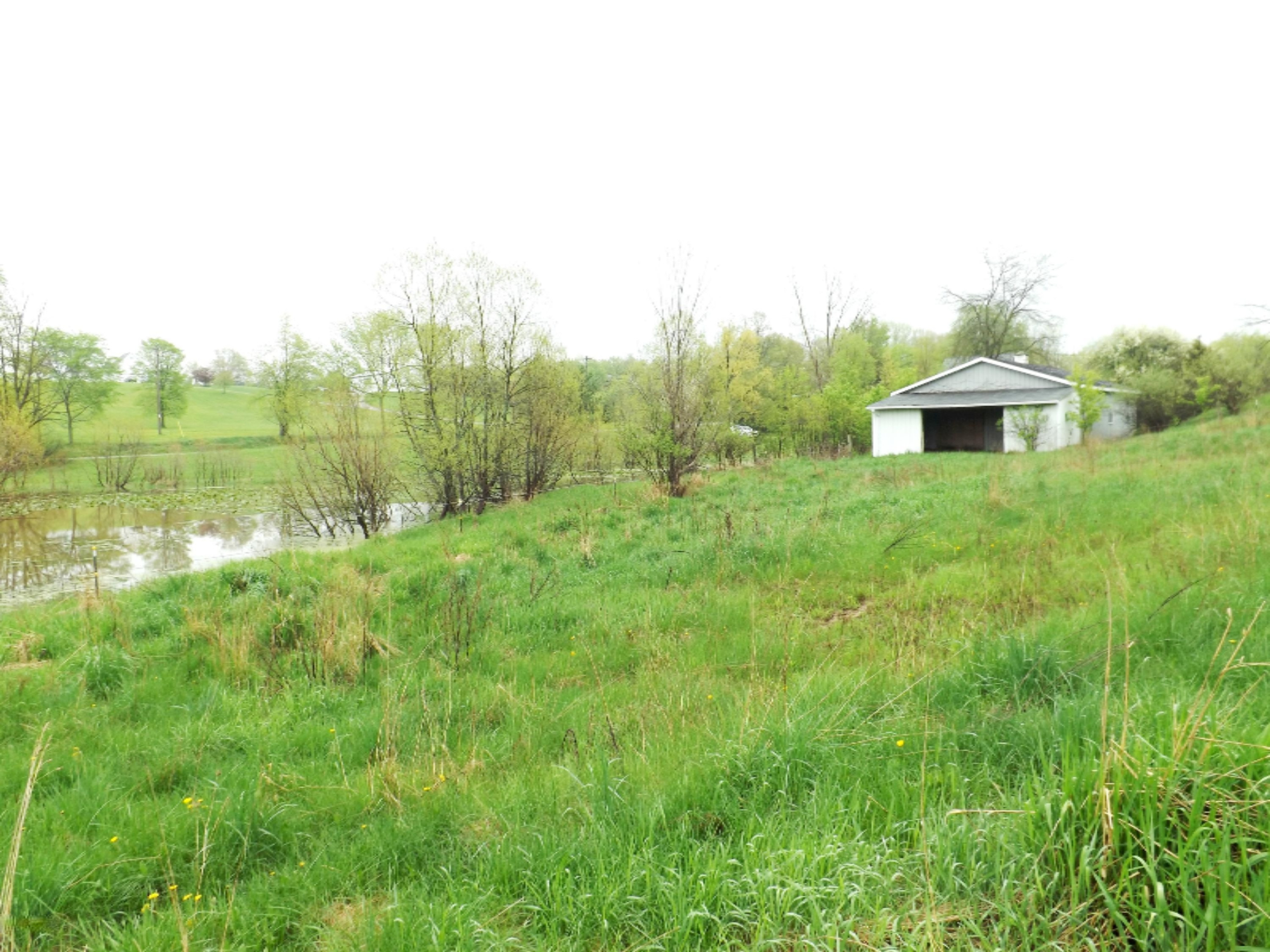 Parcel A Solomon Road Middleville, MI 49333 - Photo 22 of 49 DSCF7179