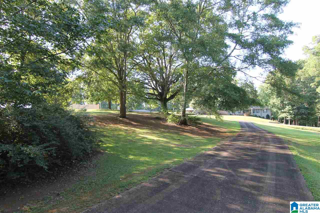 83301 Highway 9 Ashland, AL 36251 - Photo 5 of 19