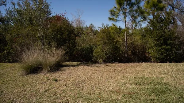 $3,000 | 10011 Long Meadow Avenue, Parrish, FL 34219