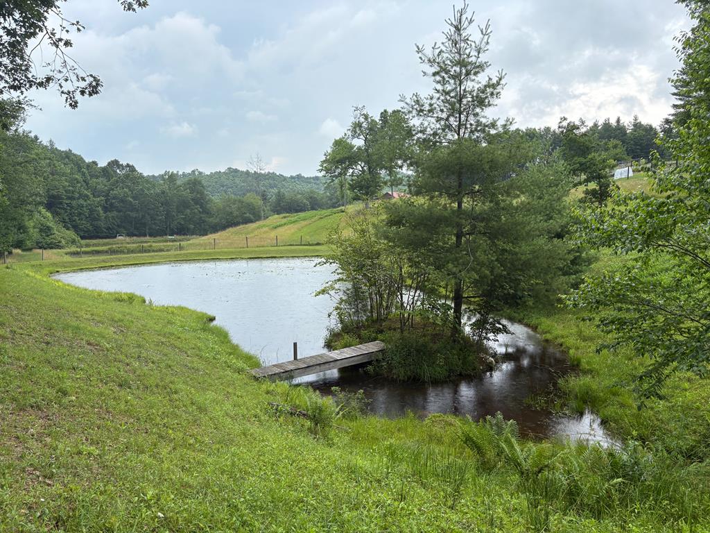 163 Snow Ridge Lane Fancy Gap, VA 24328 - Photo 84 of 89 Gallery Image 84