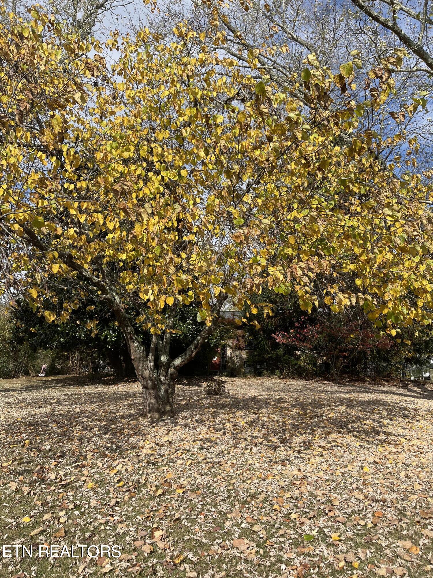 138 Peach Orchard Road Clinton, TN 37716 - Photo 35 of 43 AA36E7BF-BBBF-4974-A8F0-8161BDDC594C