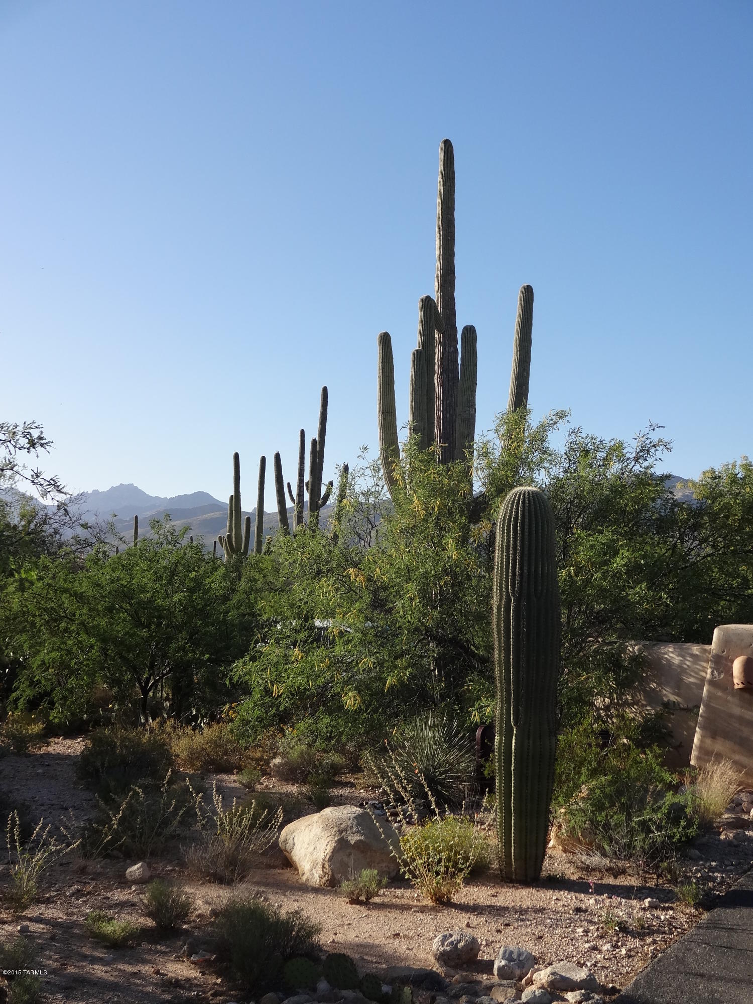 12656 East Fort Lowell Road Tucson, AZ 85749 - Photo 3 of 13 Gallery Image 3