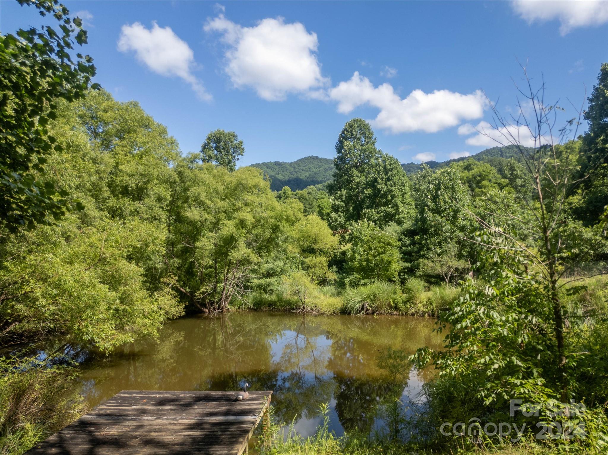 124 Wilds Branch Road Marshall, NC 28753 - Photo 25 of 46 Gallery Image 25