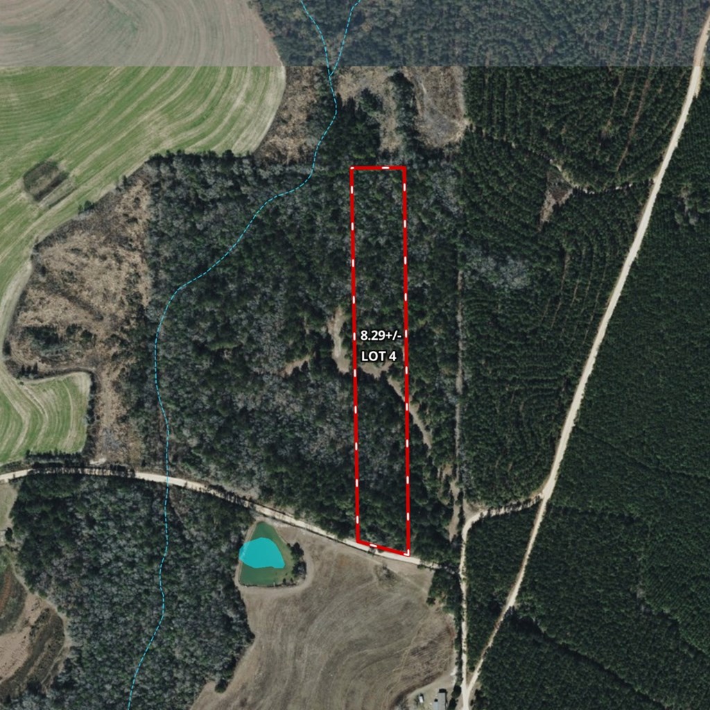 Lot #4 Crosby Clark Road Opp, AL 36467 - Photo 8 of 9