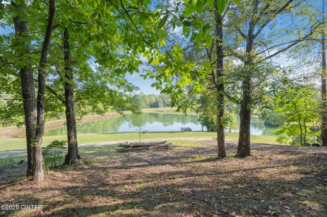 a view of a yard with plants and tree