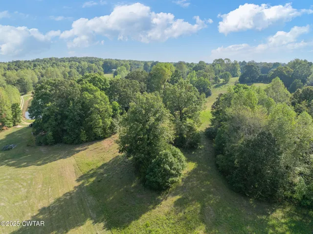 a view of a yard with a street
