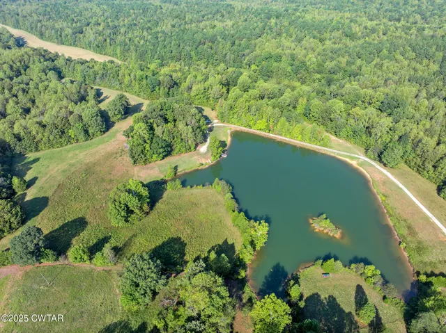 a view of a garden with a lake