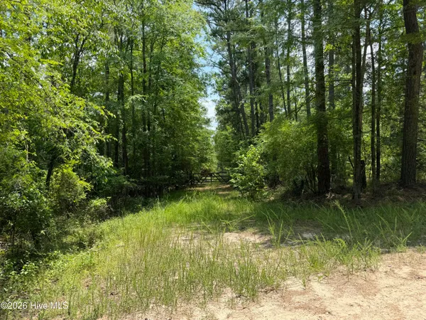 $800,000 | 0 Burks Mountain Road, Appling, GA 30802
