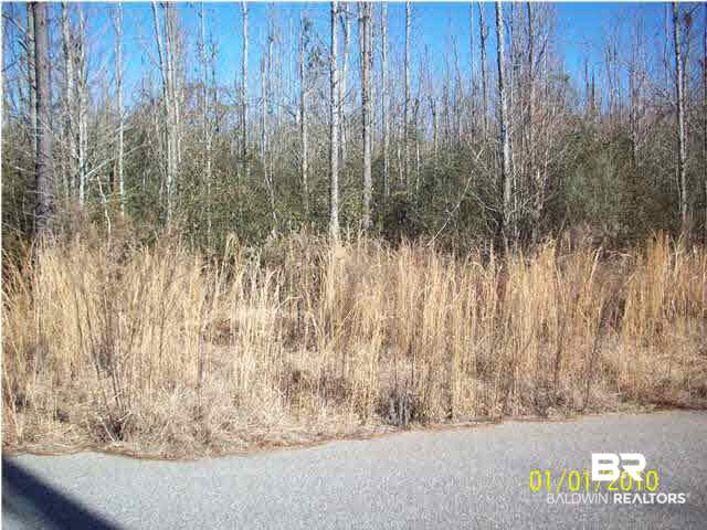 8 Edgewood Court Atmore, AL 36502 - Photo 6 of 7