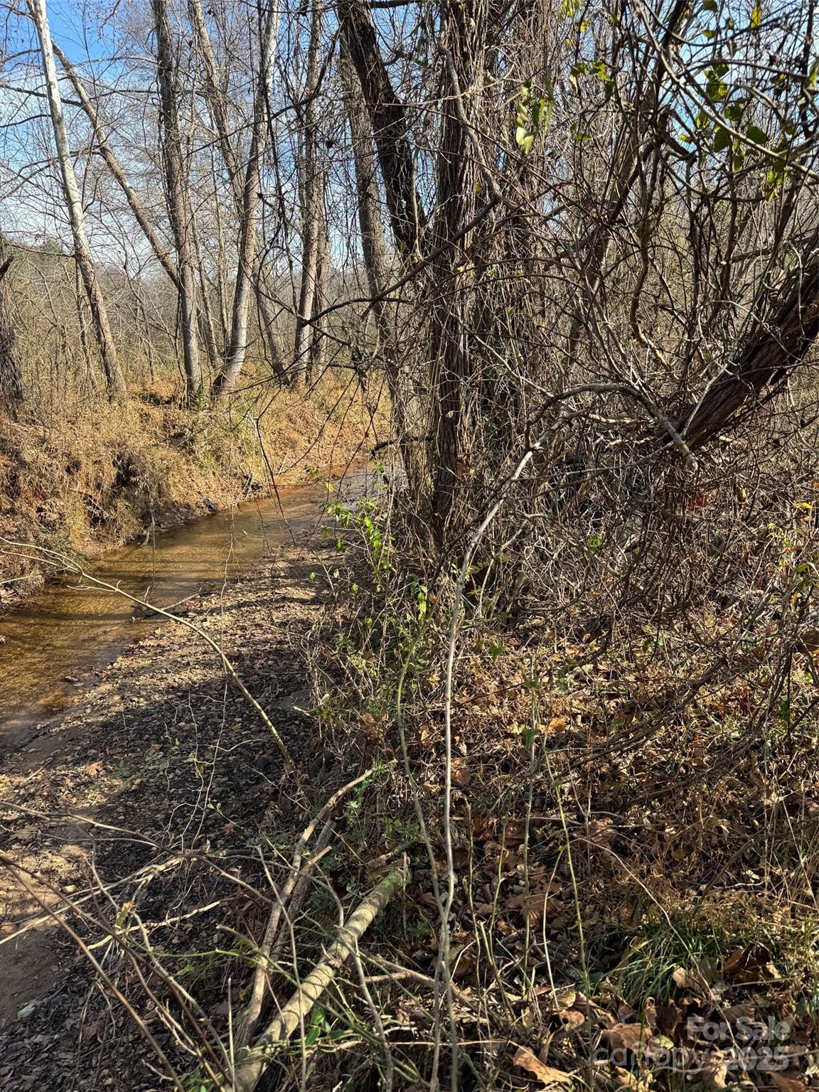 0 Thunder Road Rutherfordton, NC 28139 - Photo 2 of 3 a view of mountain covered with green space
