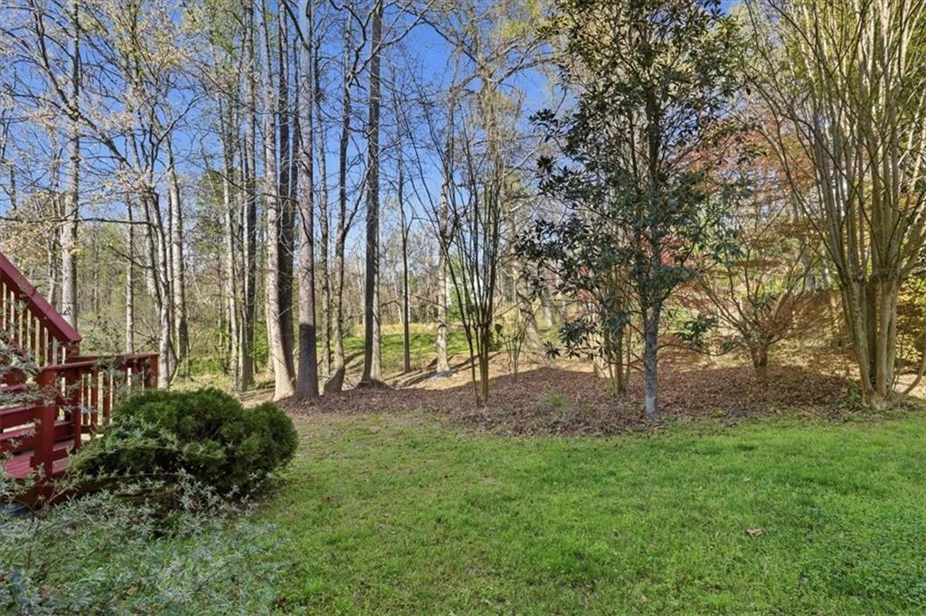 1660 Rosemist Trail Grayson, GA 30017 - Photo 43 of 52 a view of backyard with green space