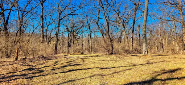 a view of empty space with trees