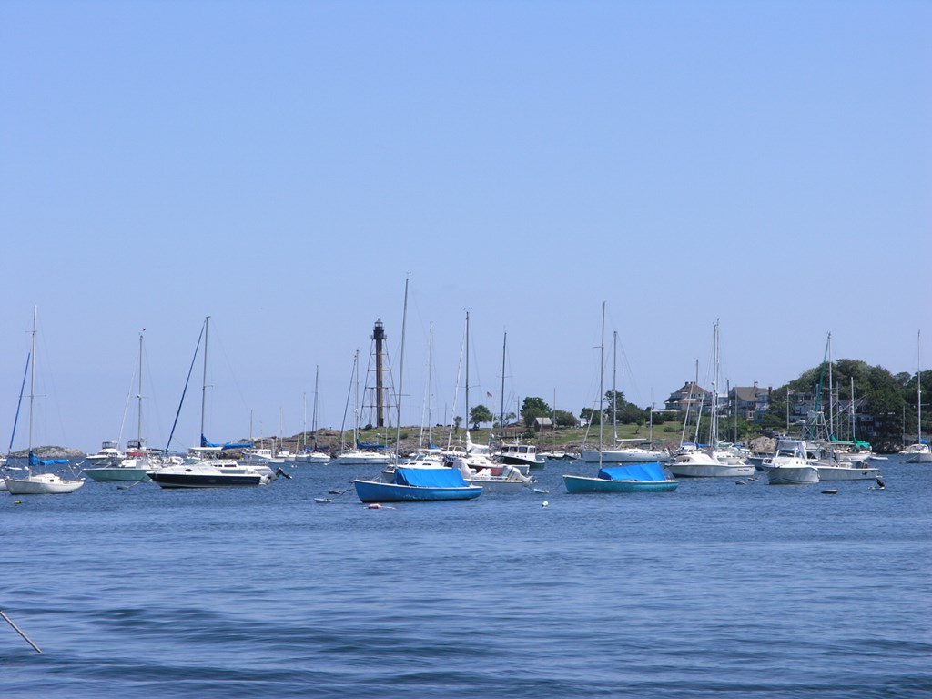 a view of a lake with boats and trees