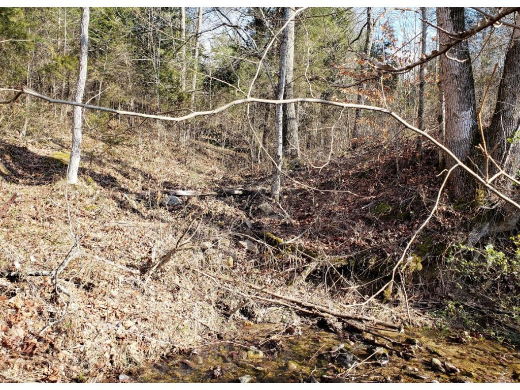 0 Wattenbarger Gap Road Greeneville, TN 37745 - Photo 1 of 3 Photo 1