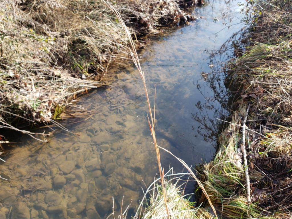 0 Wattenbarger Gap Road Greeneville, TN 37745 - Photo 2 of 3 Photo 2
