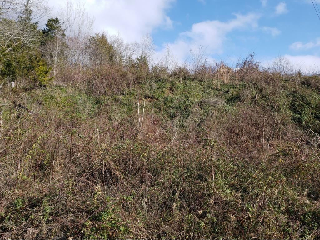 0 Wattenbarger Gap Road Greeneville, TN 37745 - Photo 3 of 3 Photo 3