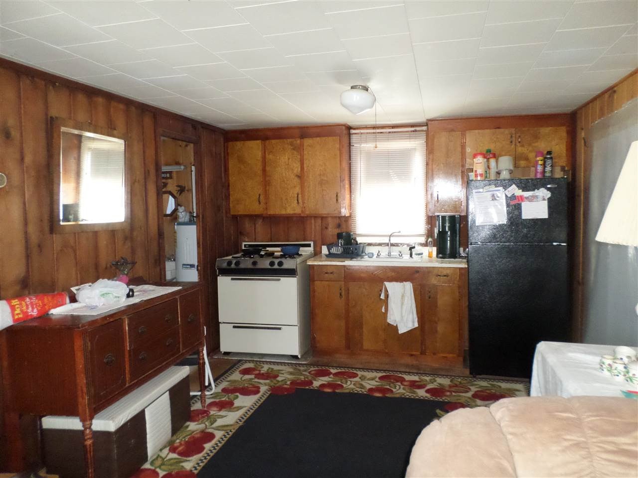 10336 East Carter Road St. Helen, MI 48656 - Photo 6 of 18 Gallery Image 6