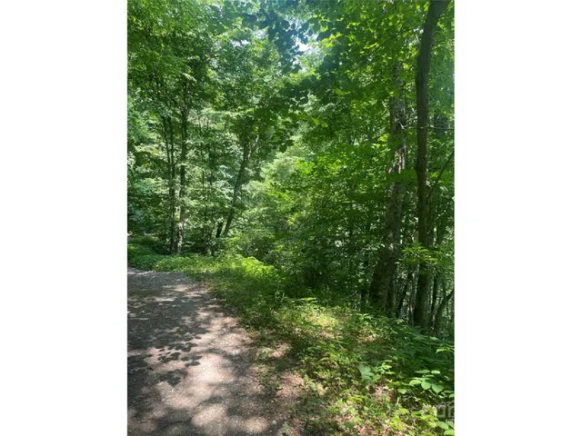 $19,000 | Undisclosed Address, Apex, NC 27523