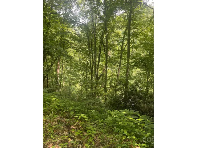 $19,000 | Undisclosed Address, Apex, NC 27523