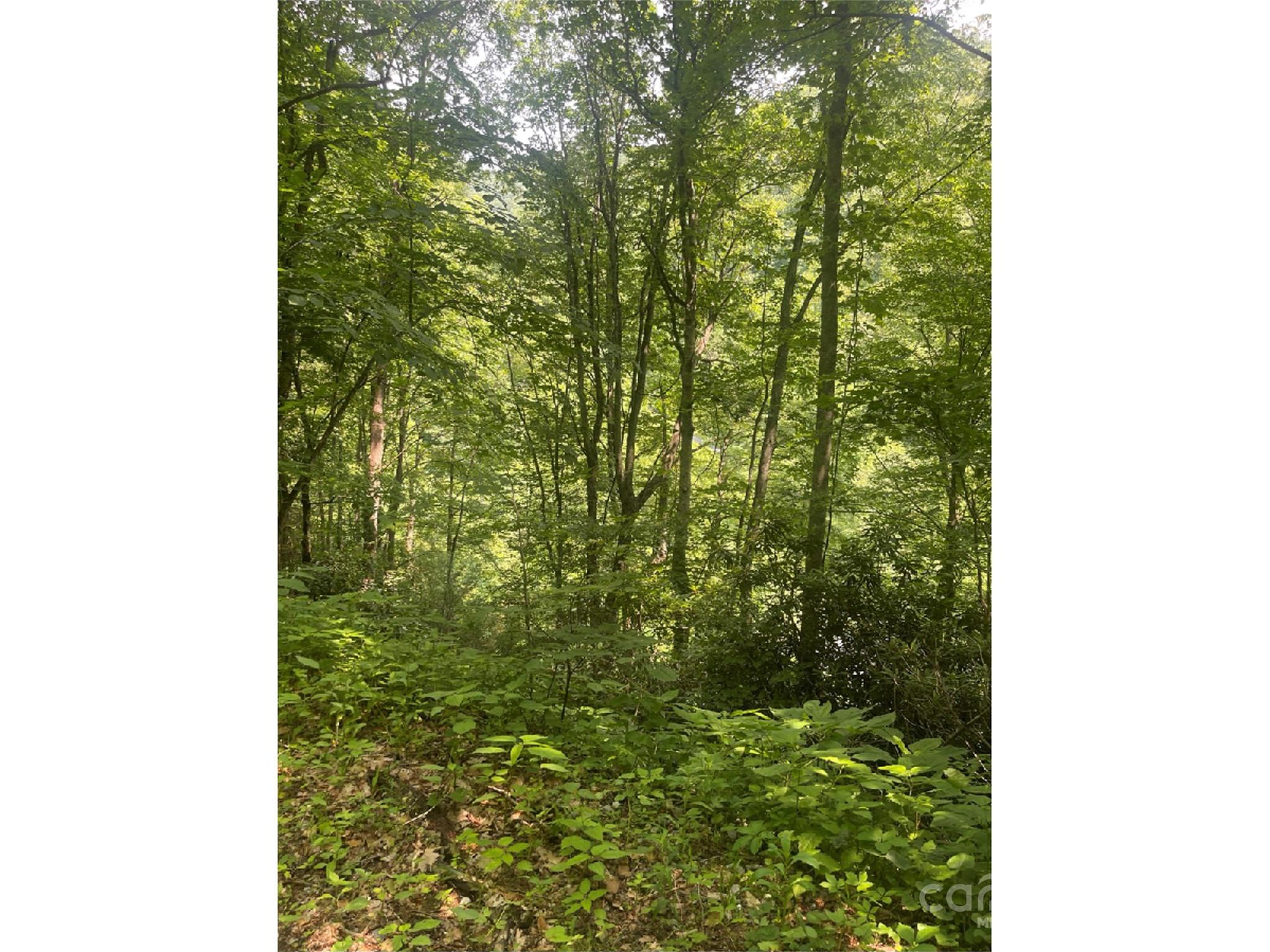 Undisclosed Address Apex, NC 27523 - Photo 5 of 7