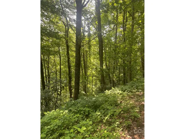 $19,000 | Undisclosed Address, Apex, NC 27523